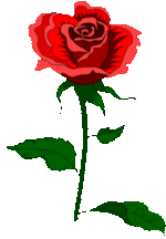 Flower thumb